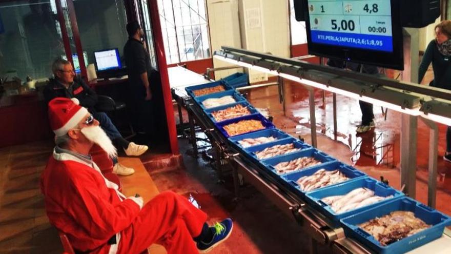 El kilo de gamba roja de la Marina alcanza los 154 euros