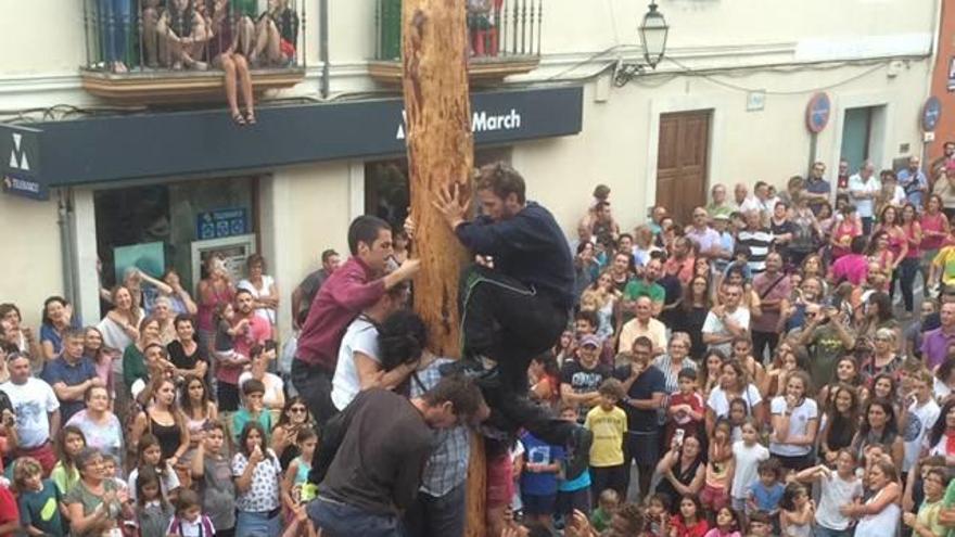 El Pi de Sant Mateu, coronado