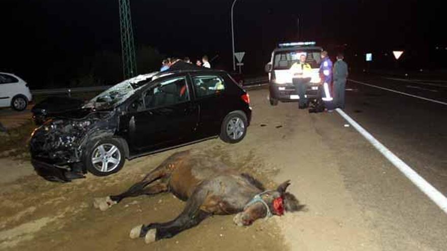 Imagen de un accidente ocurrido en Salceda de Caselas al cruzarse un caballo en la vía.