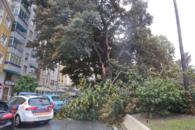 Las incidencias de la borrasca Ana en Málaga