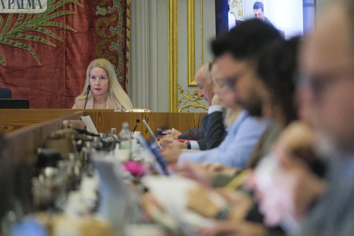 La Interventora General, Noemí Naya, durante el último Pleno extraordinario.
