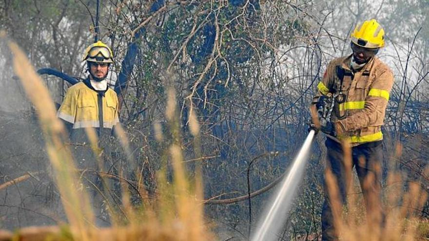 Un foc crema 500 m2 de vegetació a Manresa