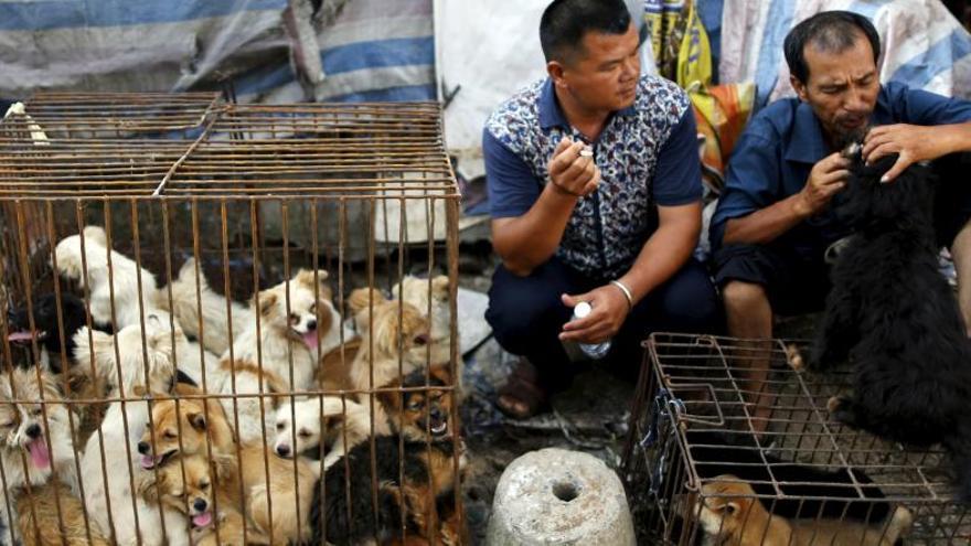 Vendedores de perros en Yulin.