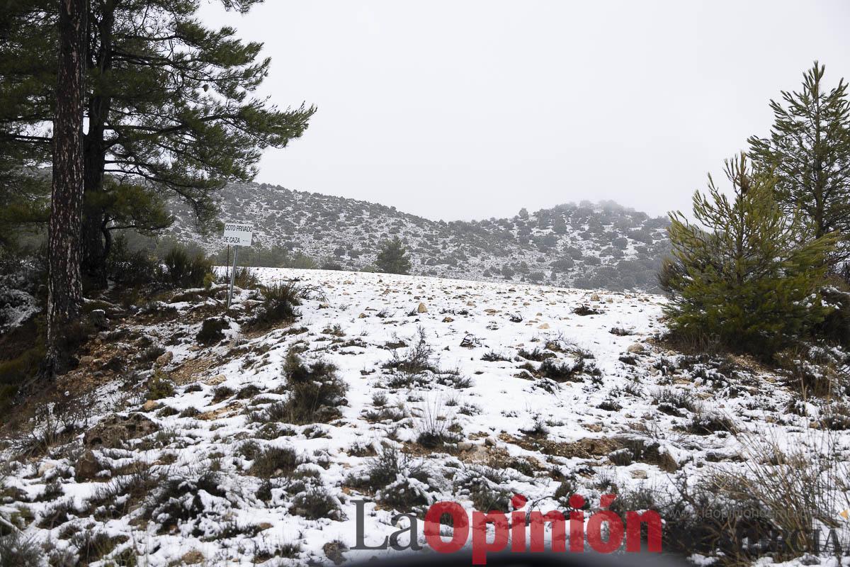 Así se está viviendo la última nevada en las proximidades de Revolcadores en Moratalla Así se está viviendo la última nevada en las proximidades de Revolcadores en Moratalla