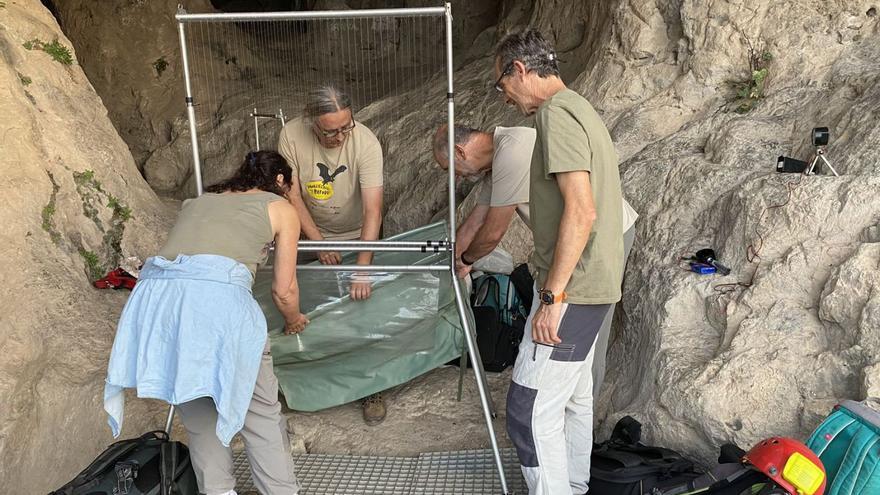 Cueva de Belda, el gran refugio de los murciélagos aún por descubrir