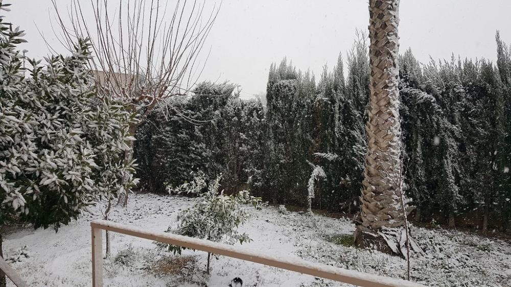 Nieve en Senda de los Garres