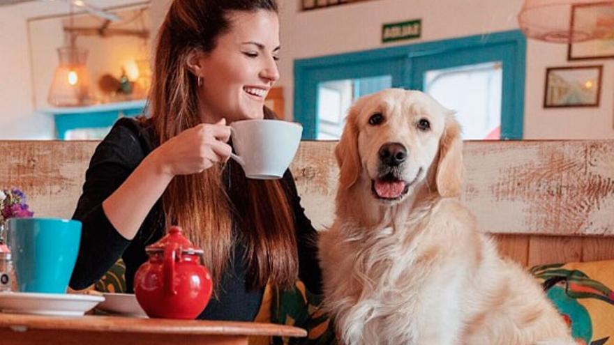 Este es el top 5 cafeterías &#039;pet friendly&#039; de Mallorca