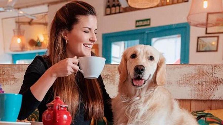 Este es el top 5 cafeterías 'pet friendly' de Mallorca