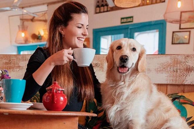 Este es el top 5 cafeterías 'pet friendly' de Mallorca