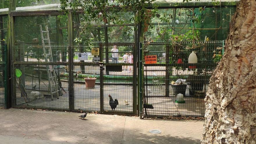 La pajarera del parque nuevo de La Felguera. En el recuadro, patos mandarines. | J. B. / LNE