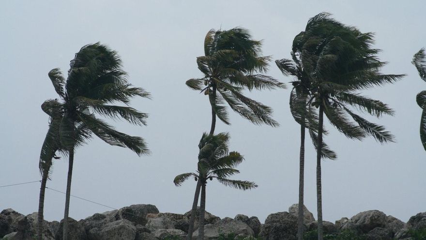 Strong Wind Gusts Expected This Wednesday in the Canary Islands