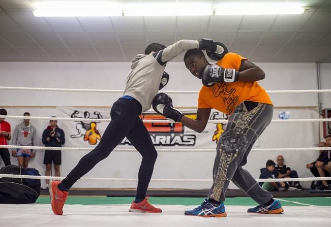 Deporte Base. Reportaje de boxeo al Jet Canarias