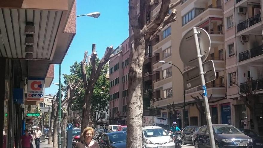 Quejas por la poda en la calle Ramón y Cajal