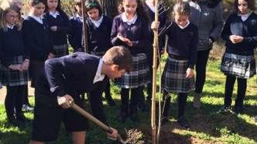 Alumnos plantando. // FdV