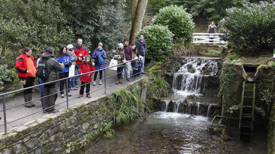 Más de 40 entidades botánicas de todo el mundo, contra el despido del equipo científico de Gijón