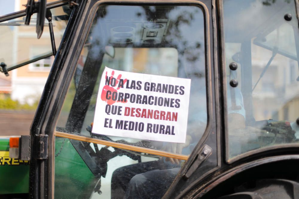 Instante de la tractorada de protesta en Requena.