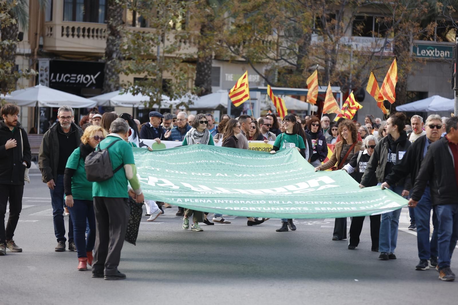 La manifestación 'Defensem la llengua, som País Valencià', en imágenes