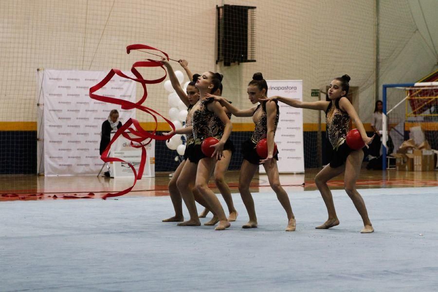 Campeonato de Castilla y León de gimnasia rítmica