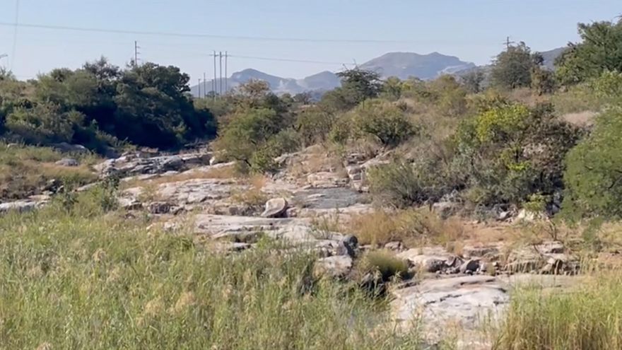 Descubren vida microscópica en rocas de 2.000 millones de años de antigüedad