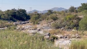 Complejo ígneo Bushveld (BIC), en Sudáfrica,  donde han sobrevivido los microbios más antiguos conocidos hasta la fecha.