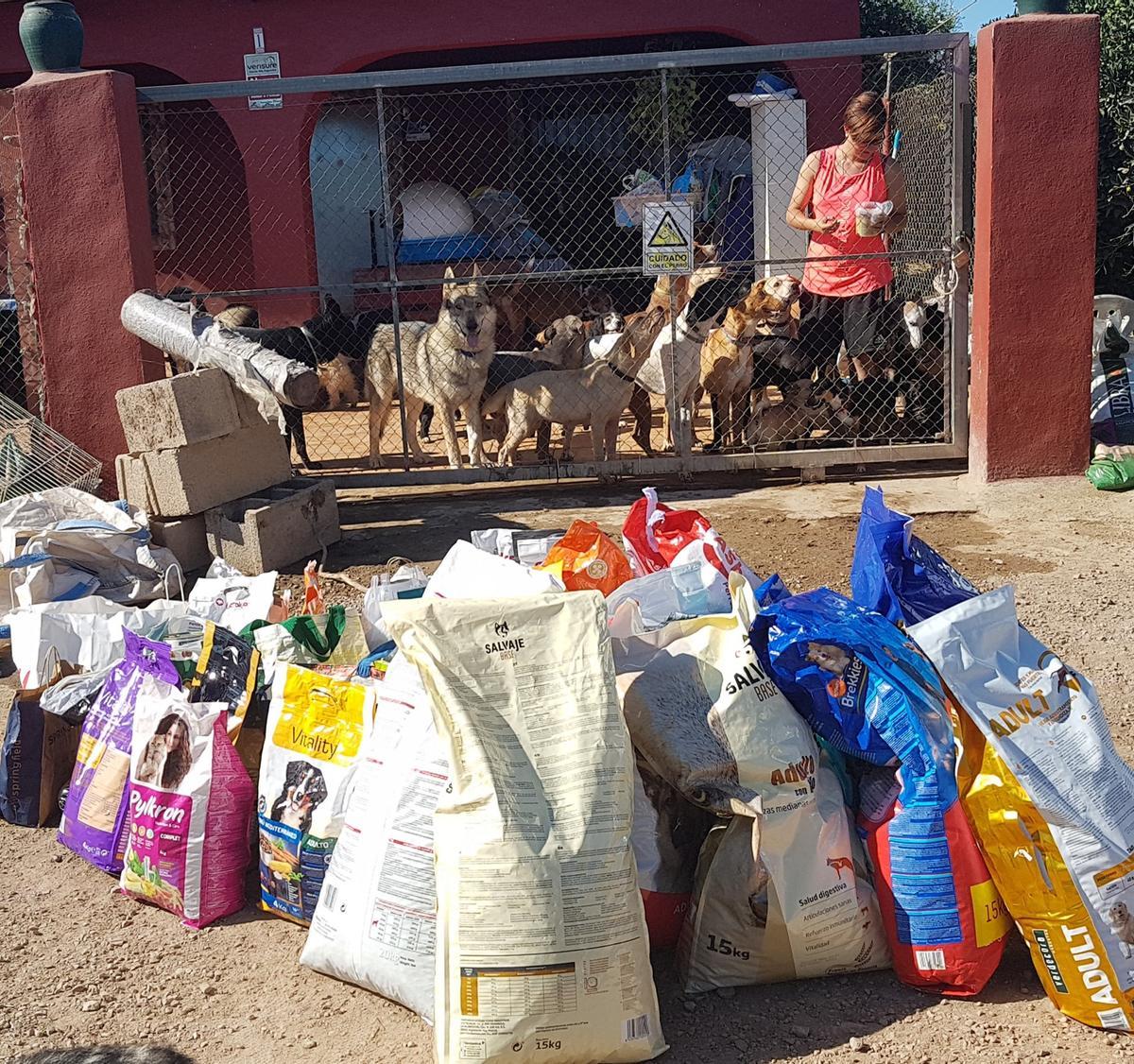Una voluntaria atiende a los animales en el refugio de Sueca, que se trasladará a Montaverner.