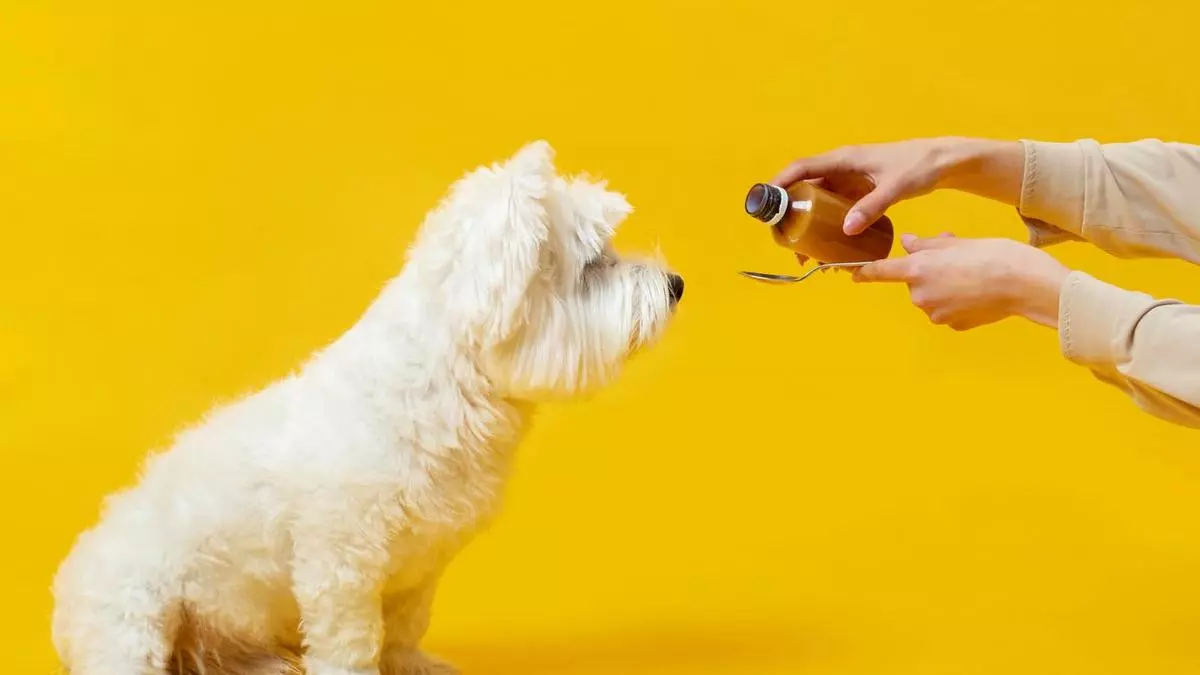 ¿Por qué mi perro tose como si se ahogara? Todo lo que debes saber sobre la tos en perros
