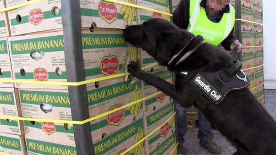 Las denuncias por tráfico de drogas en Galicia suben un 20%