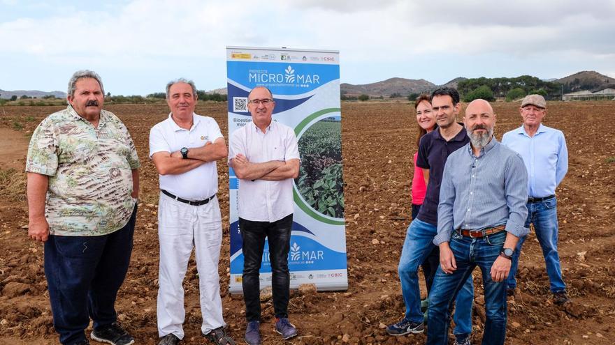 Innovación y sostenibilidad en el Campo de Cartagena a través del proyecto Micromar