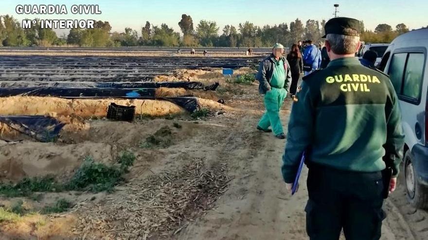 Descubren a cinco trabajadores, tres menores, sin contrato en una finca de Badajoz