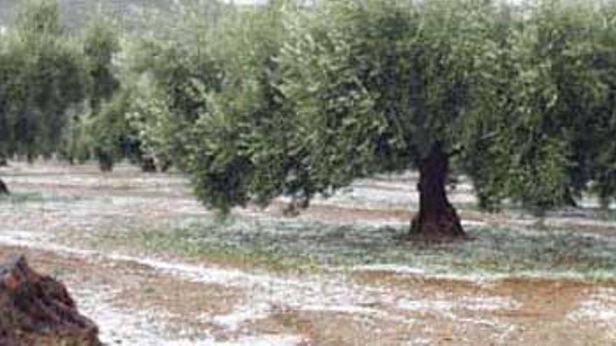 Las tormentas provocan seis incendios e intensas granizadas en la provincia