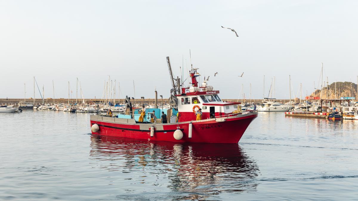 Una de les embarcacions d&#039;encerclament de Sant Feliu de Guíxols que començaran dos mesos d&#039;aturada biològica per afavorir els caladors de peix blau