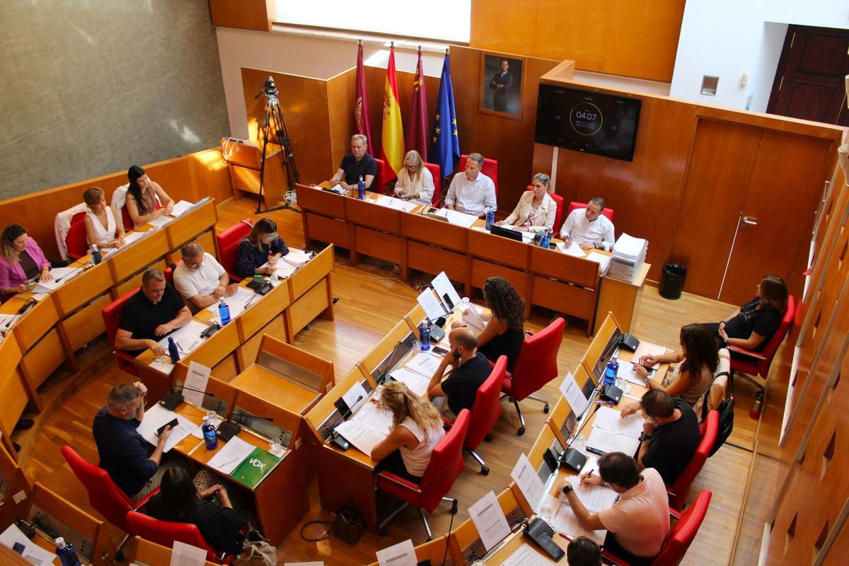 Pleno correspondiente al mes de julio.