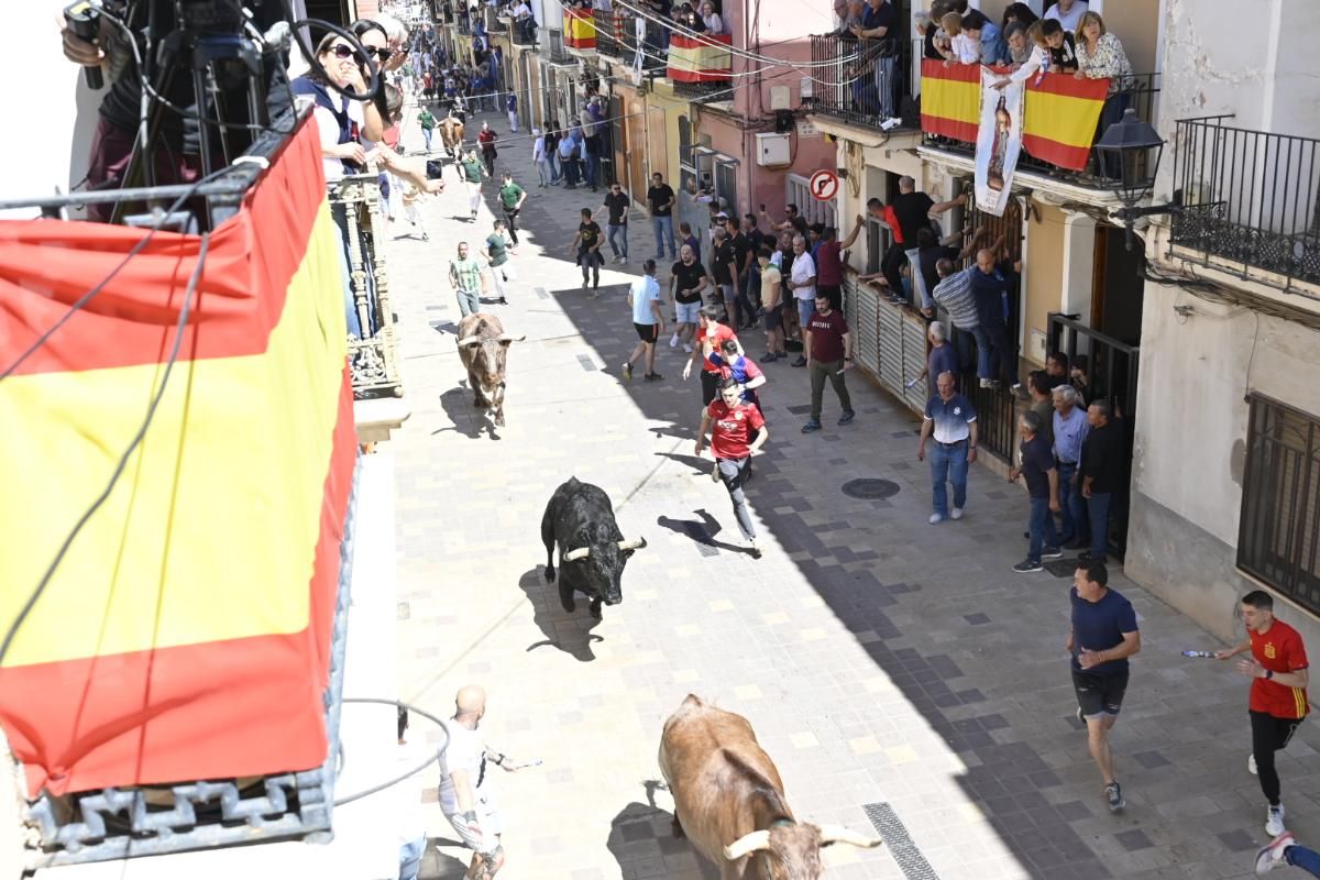 Galería | Almassora vibra con el encierro de cerriles de Gerardo Ortega