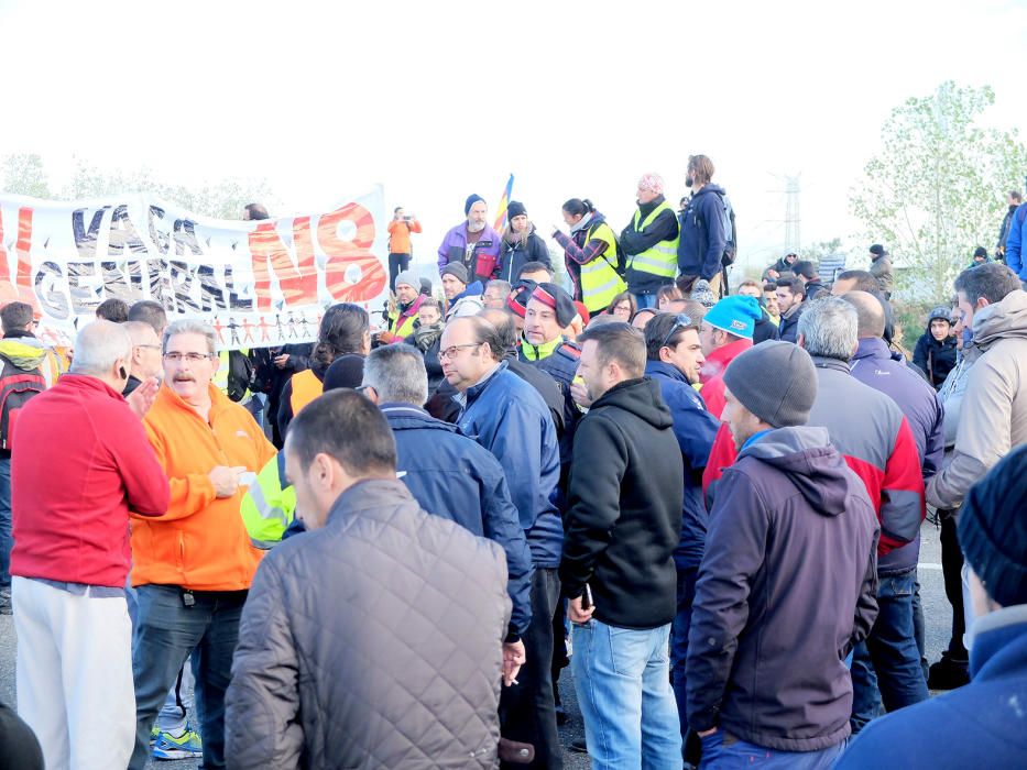 Manifestació a Borrassà