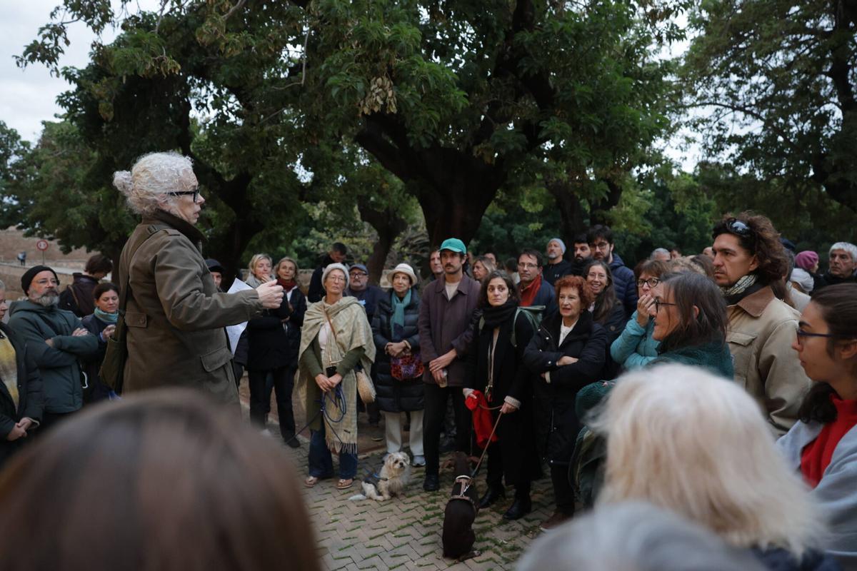 TALA DE ÁRBOLES PALMA | Más de 80 vecinos de la plaza Llorenç ...