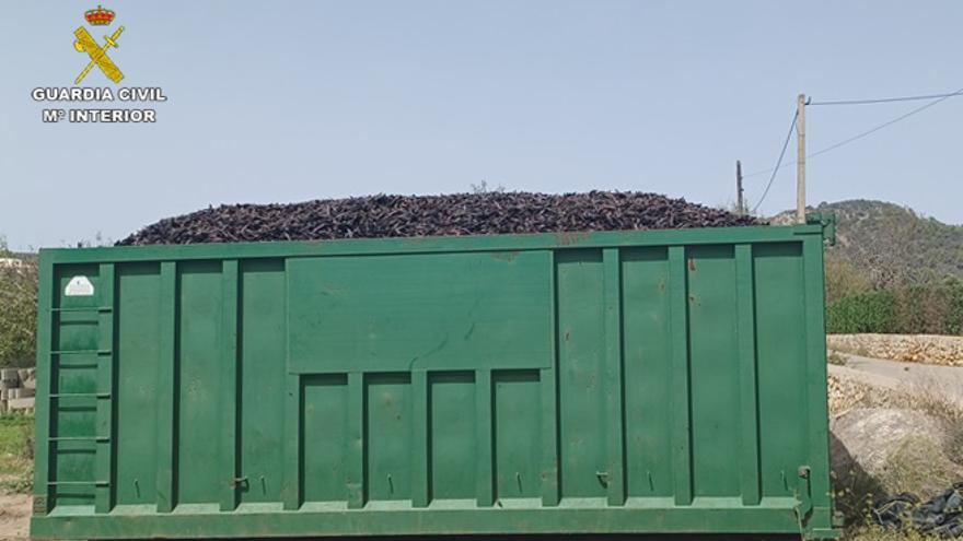 Investigado por la sustracción de cuatro toneladas de algarrobas en una finca de Marratxí