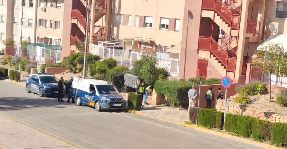 Agentes de la Policía Nacional, en el registro de este jueves por la tarde en presencia del detenido.
