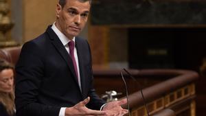 El presidente del Gobierno, Pedro Sánchez, interviene durante una sesión plenaria, en el Congreso de los Diputados