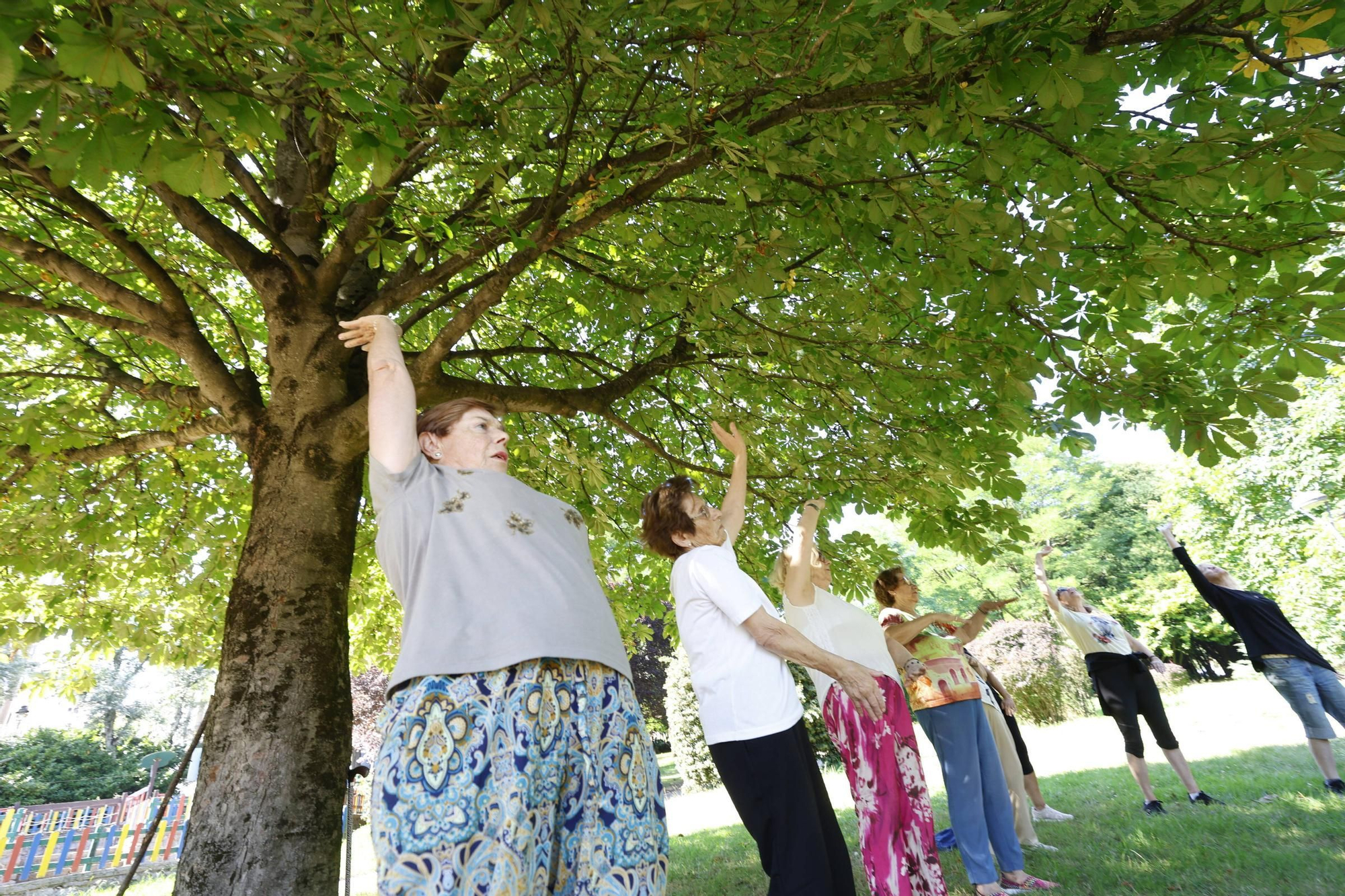 EN IMÁGENES: Cursos de taichi al aire libre en Avilés