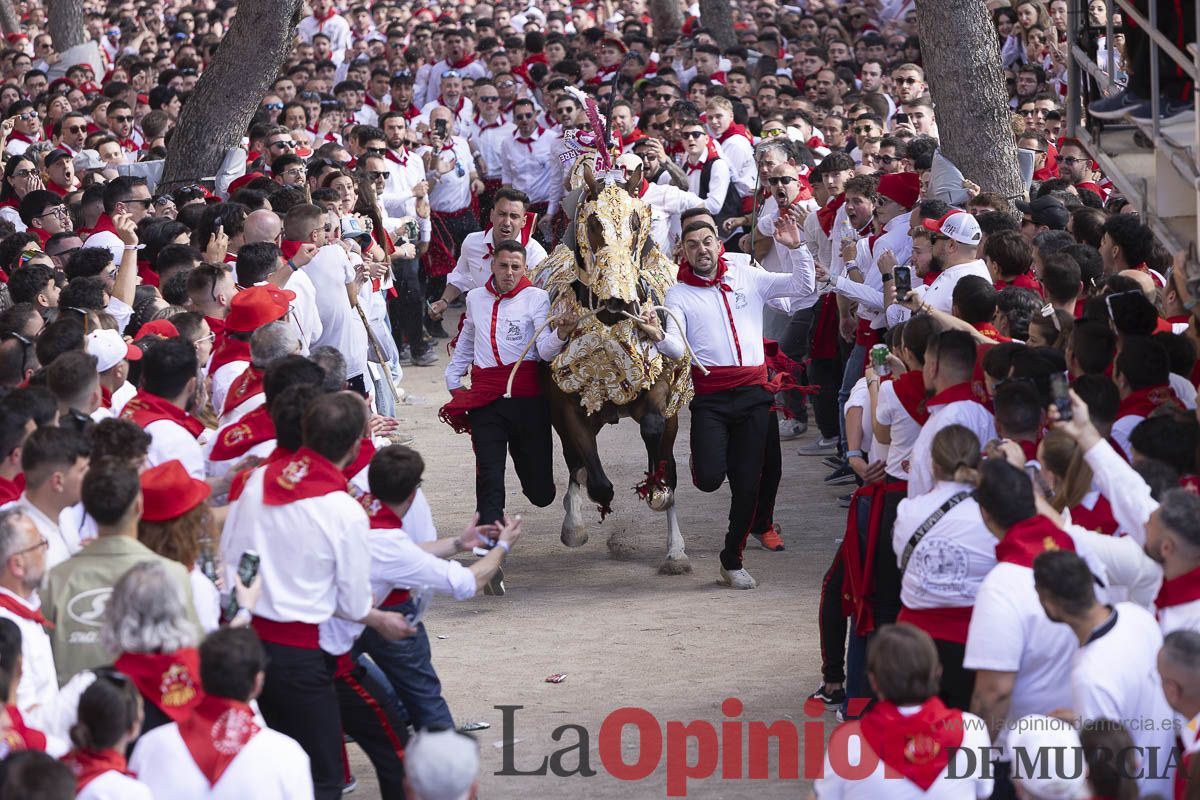 Así se ha vivido la carrera de Los Caballos del Vino en Caravaca