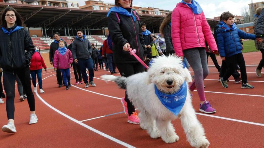 La IX Marcha Solidaria de Autismo Zamora da a conocer la realidad de este trastorno