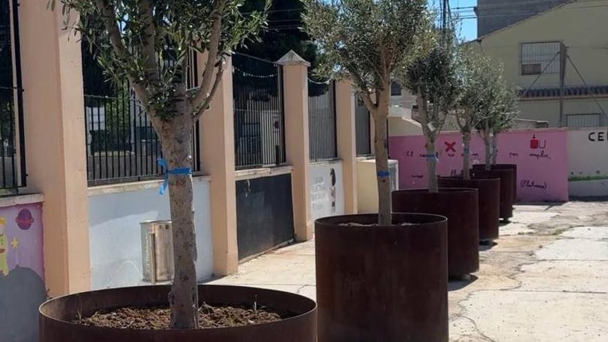 Árboles nuevos en el colegio El Castell de Albalat dels Sorells.