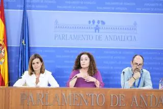 El Parlamento de Andalucía acuerda una ley que facilite a personas con discapacidad acceder a la función pública