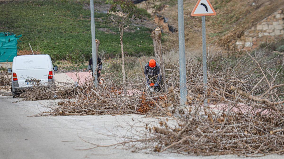 Trabajos de poda del arbolado en el SUS-A, tras el rescate del plan
