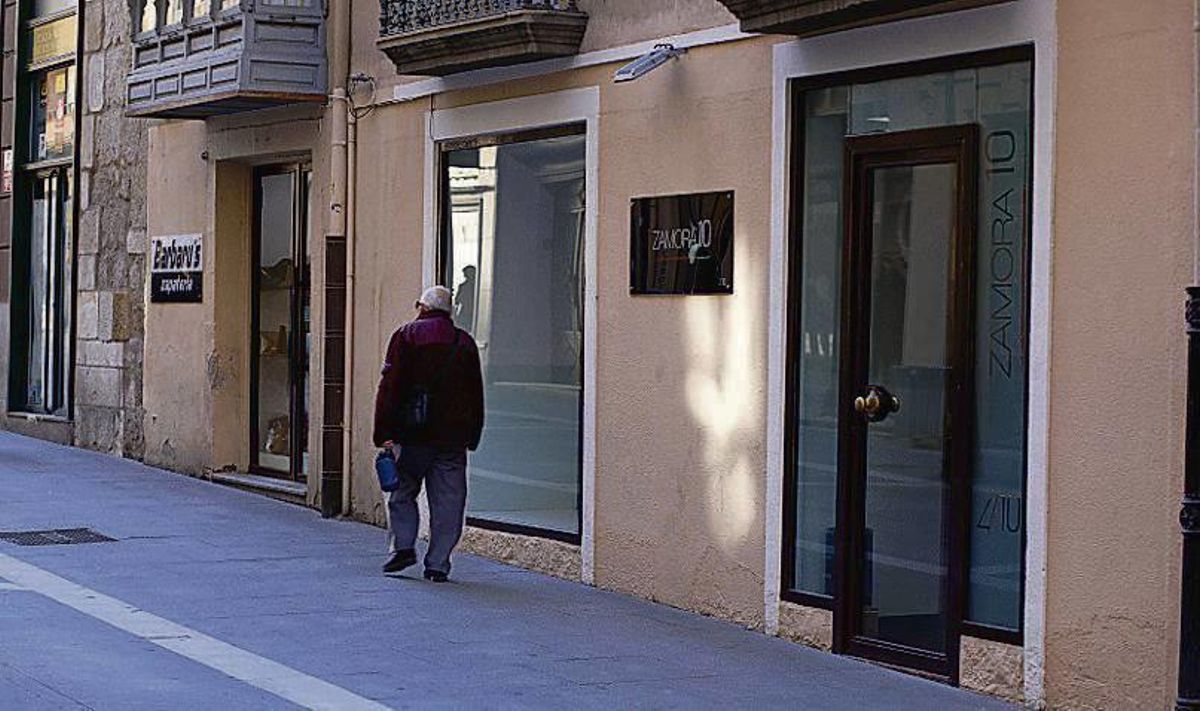 Zamora 10 propone un grado de sector lácteo en la USAL