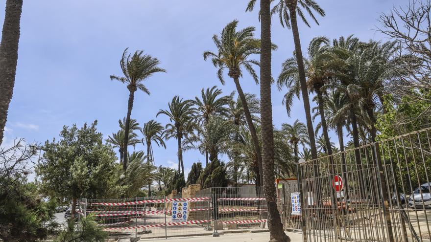 El Ayuntamiento de Alicante admite en un documento técnico la falta de mantenimiento de El Palmeral