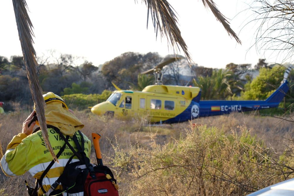 Extinción de un incendio en la pinada de Guardamar