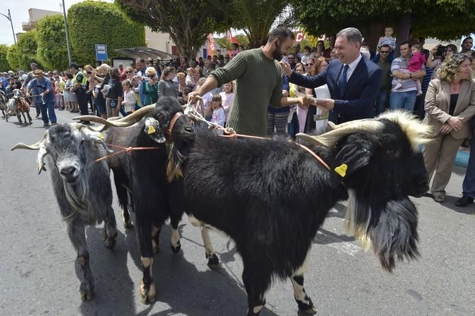 Feria de ganado y procesión de San José Obrero