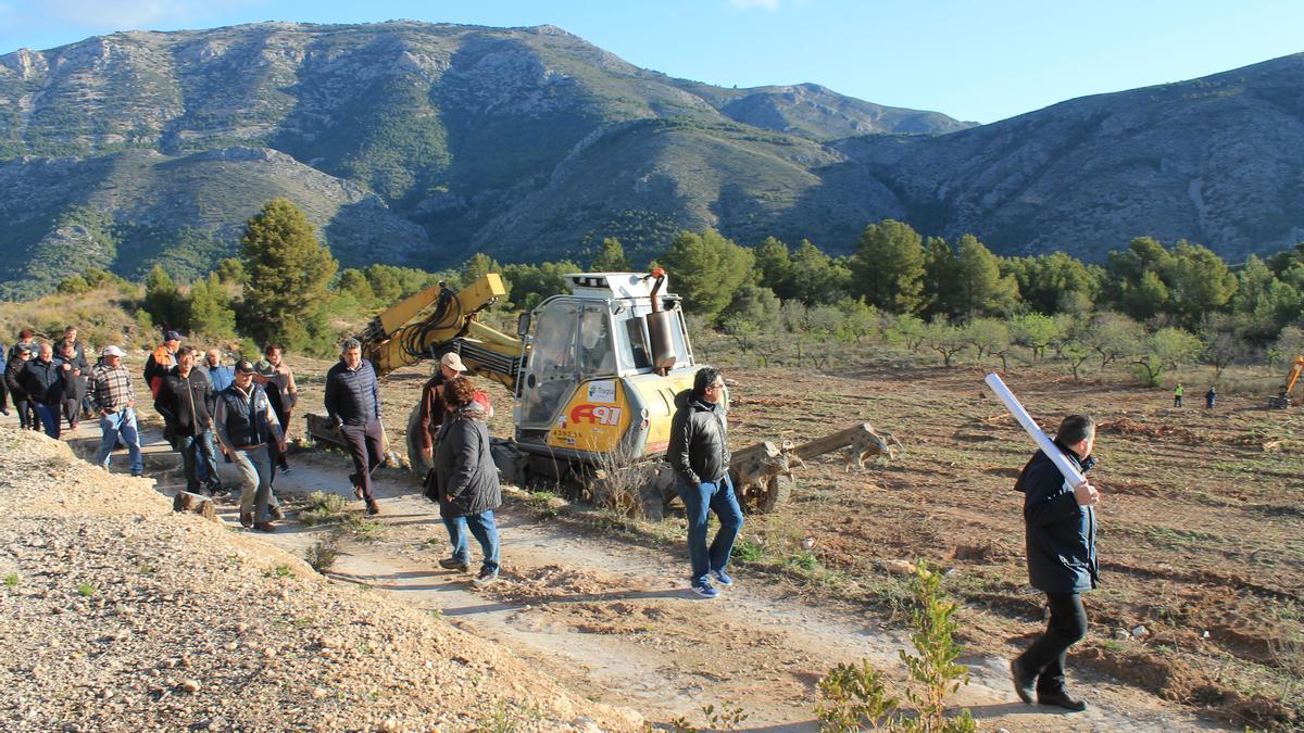 ASAJA presenta alegaciones al borrador de las Ayudas a la Replantación de cultivos afectados por Xylella