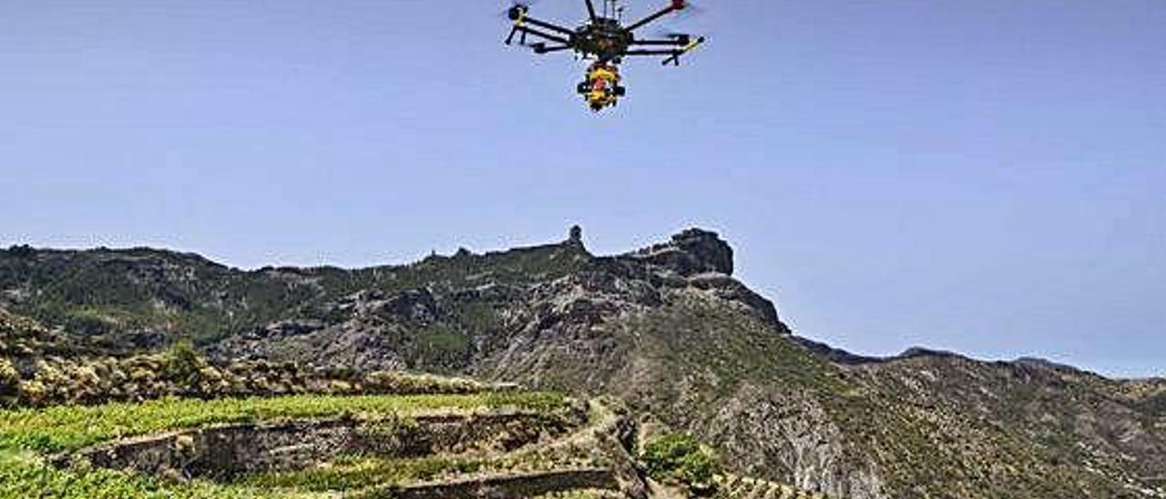 Un dron con cámara hiperespectral analiza los viñedos de la cumbre grancanaria.